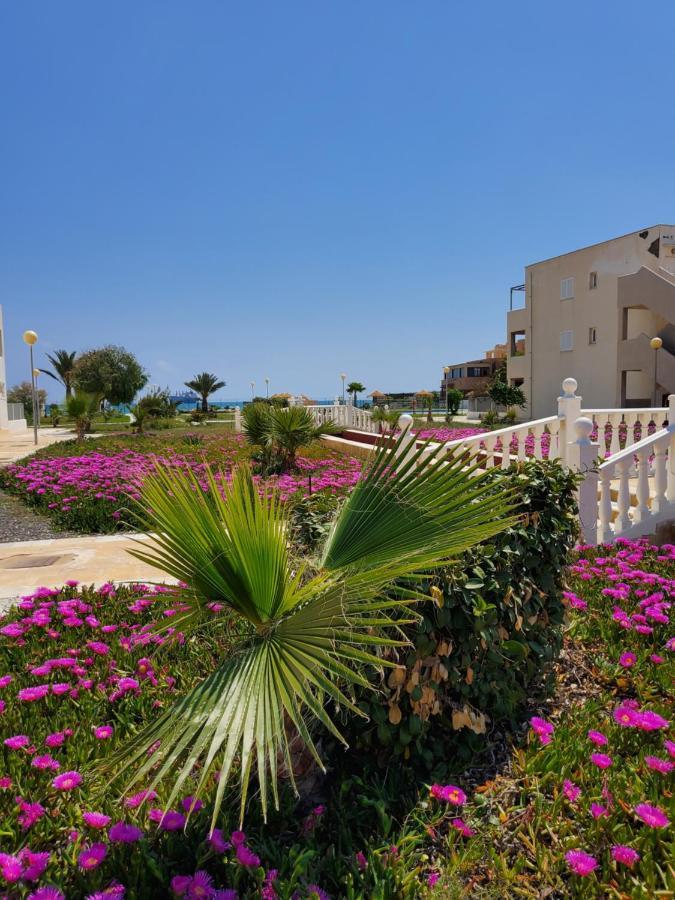 Apartamento Naturista En Primera Linea De Vera Playa!!! Las Bombardas Buitenkant foto