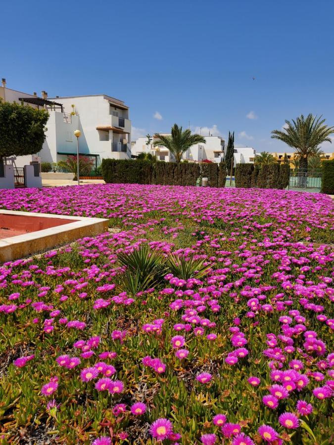 Apartamento Naturista En Primera Linea De Vera Playa!!! Las Bombardas Buitenkant foto